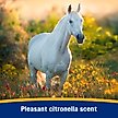 Show in main carousel: Farnam Bronco e Citronella Scented Equine Fly Spray, 32-fl oz bottle slide 3 of 11