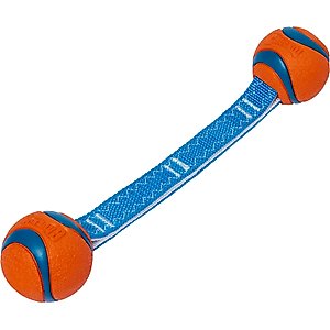 Chuckit! Ultra Duo Tug Tough Dog Toy, Small