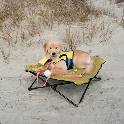 Show full view: Body Glove Fold & Go Pet Cot Dog Bed, Lime slide 10 of 10