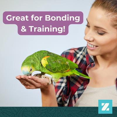 Show full view: ZuPreem Pure Fun Parrot & Conure Bird Food, 2-lb bag slide 7 of 10