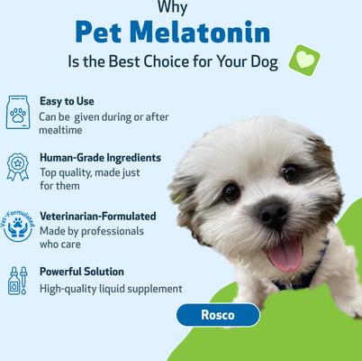 Show full view: Pet Wellbeing Pet Melatonin Bacon Flavored Liquid Calming Supplement for Dogs, 4-oz bottle slide 8 of 9