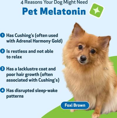 Show full view: Pet Wellbeing Pet Melatonin Bacon Flavored Liquid Calming Supplement for Dogs, 4-oz bottle slide 6 of 9