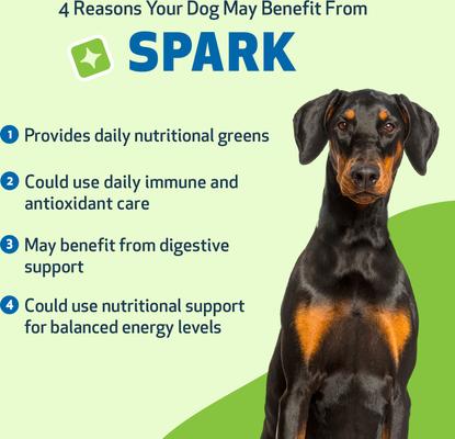 Show full view: Pet Wellbeing SPARK Bacon Flavored Powder Multivitamin for Dogs, 3.53-oz pouch slide 7 of 8