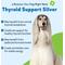 Show in main carousel: Pet Wellbeing Thyroid Support SILVER Bacon Flavored Liquid Supplement for Dogs, 2-oz bottle slide 7 of 9