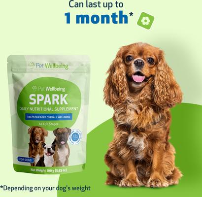 Show full view: Pet Wellbeing SPARK Bacon Flavored Powder Multivitamin for Dogs, 3.53-oz pouch slide 6 of 8