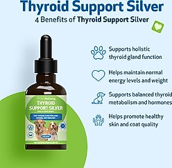 Pet Wellbeing Thyroid Support SILVER Bacon Flavored Liquid Supplement for Dogs, 2-oz bottle slide 2 of 8