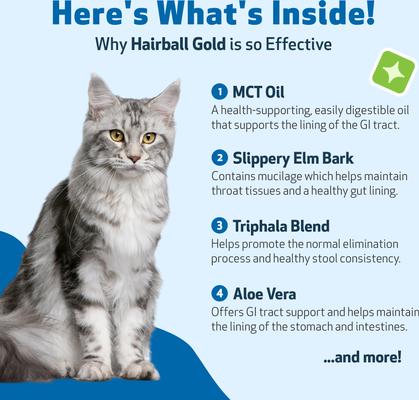 Show full view: Pet Wellbeing Hairball GOLD Liquid Hairball Control Supplement for Cats, 2-oz bottle slide 7 of 9