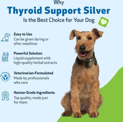 Show full view: Pet Wellbeing Thyroid Support SILVER Bacon Flavored Liquid Supplement for Dogs, 2-oz bottle slide 8 of 9
