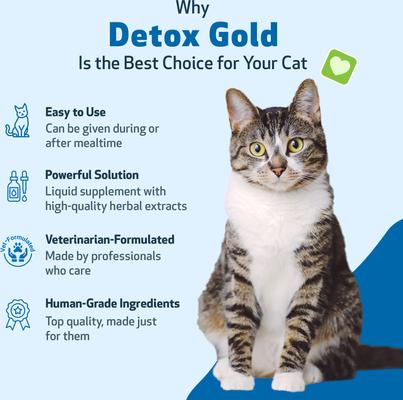 Show full view: Pet Wellbeing Detox GOLD Bacon Flavored Liquid Immune Supplement for Cats, 2-oz bottle slide 7 of 9