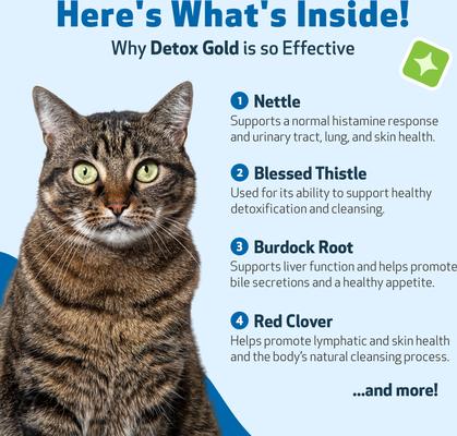 Show full view: Pet Wellbeing Detox GOLD Bacon Flavored Liquid Immune Supplement for Cats, 2-oz bottle slide 8 of 9