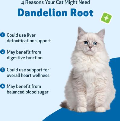 Show full view: Pet Wellbeing Dandelion Root Bacon Flavored Liquid Digestive & Liver Supplement for Cats, 2-oz bottle slide 9 of 9
