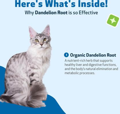 Show full view: Pet Wellbeing Dandelion Root Bacon Flavored Liquid Digestive & Liver Supplement for Cats, 2-oz bottle slide 8 of 9