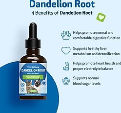 Pet Wellbeing Dandelion Root Bacon Flavored Liquid Digestive & Liver Supplement for Cats, 2-oz bottle slide 2 of 8