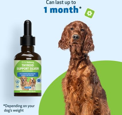 Show full view: Pet Wellbeing Thyroid Support SILVER Bacon Flavored Liquid Supplement for Dogs, 2-oz bottle slide 6 of 9