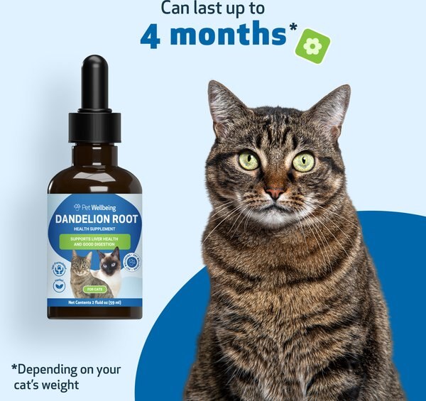 Pet Wellbeing Dandelion Root Bacon Flavored Liquid Digestive & Liver Supplement for Cats