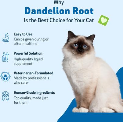 Show full view: Pet Wellbeing Dandelion Root Bacon Flavored Liquid Digestive & Liver Supplement for Cats, 2-oz bottle slide 7 of 9