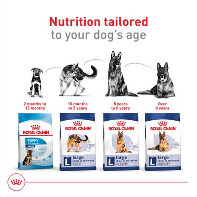 Show full view: Royal Canin Size Health Nutrition Large Adult Dry Dog Food, 30-lb bag slide 6 of 12