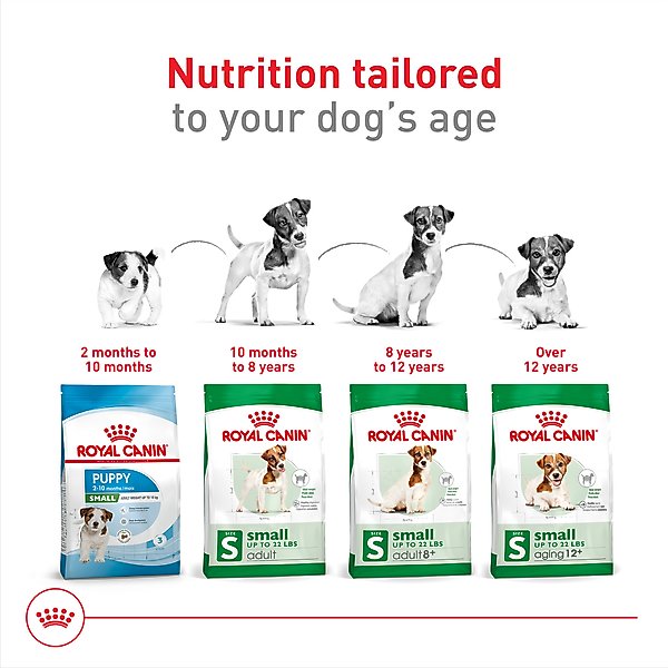 Show full view: Royal Canin Size Health Nutrition Small Adult Dry Dog Food, 14-lb bag slide 6 of 13