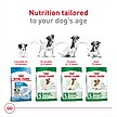 Show in main carousel: Royal Canin Size Health Nutrition Small Adult Dry Dog Food, 14-lb bag slide 6 of 13
