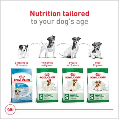 Show full view: Royal Canin Size Health Nutrition Small Adult 8+ Dry Dog Food, 2.5-lb bag slide 6 of 13
