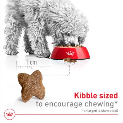 Show full view: Royal Canin Size Health Nutrition Small Adult Dry Dog Food, 14-lb bag slide 3 of 12
