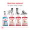 Show in main carousel: Royal Canin Size Health Nutrition Medium Adult Dry Dog Food, 30-lb bag slide 6 of 12