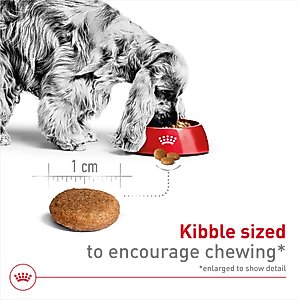 Royal Canin Size Health Nutrition Medium Adult Dry Dog Food, 30-lb bag