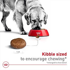 Royal Canin Size Health Nutrition Large Adult 5+ Dry Dog Food, 30-lb bag slide 2 of 8