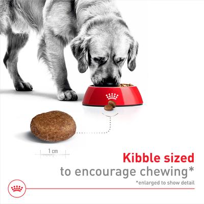 Show full view: Royal Canin Size Health Nutrition Large Adult 5+ Dry Dog Food, 30-lb bag slide 3 of 12