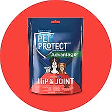 And their guts. Digestive health supplements