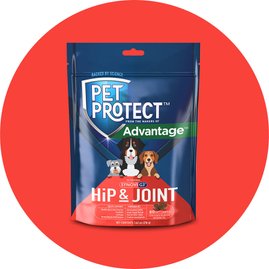 And their guts. Digestive health supplements