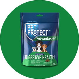digestive health