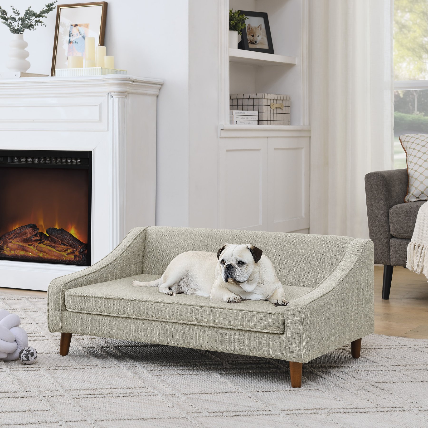 Cesicia Modern Elevated Sofa Dog Bed, Beige