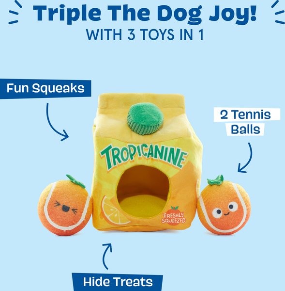 BARK Fresh Squeaked OJ Plush Dog Toy