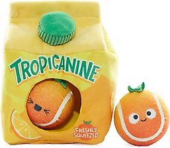 BARK Fresh Squeaked OJ Plush Dog Toy