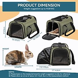 Petsfit Expandable Airline-Approved Soft-Sided Dog & Cat Carrier, Green, 16 x 10 x 9-in slide 2 of 7