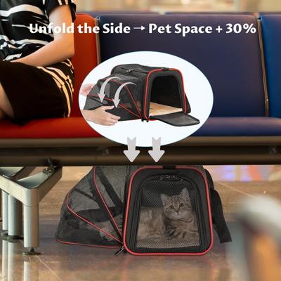 Show full view: Petsfit Expandable Airline-Approved Soft-Sided Dog & Cat Carrier, Black, 19 x 12 x 12-in slide 5 of 10