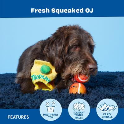 Show full view: BARK Fresh Squeaked OJ Plush Dog Toy slide 3 of 8