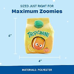 BARK Fresh Squeaked OJ Plush Dog Toy slide 2 of 7