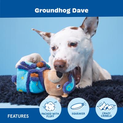 Show full view: BARK Groundhog Dave Plush Dog Toy slide 4 of 9