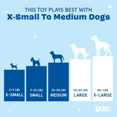 Show full view: BARK Old Fashioned Sploot Beer Plush Dog Toy slide 5 of 8