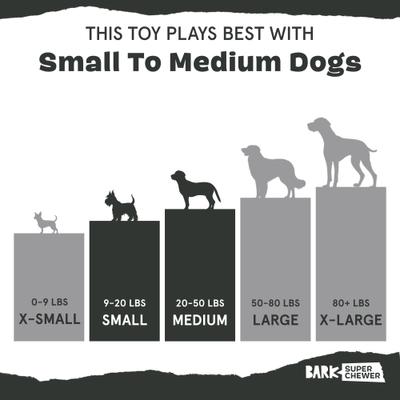 Show full view: BARK CUP KATE Plush Dog Toy slide 5 of 8