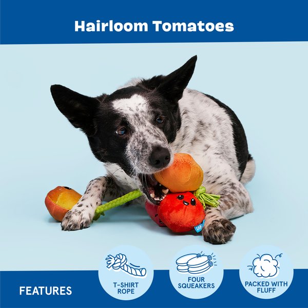 BARK Hairloom Tomatoes Plush Dog Toy