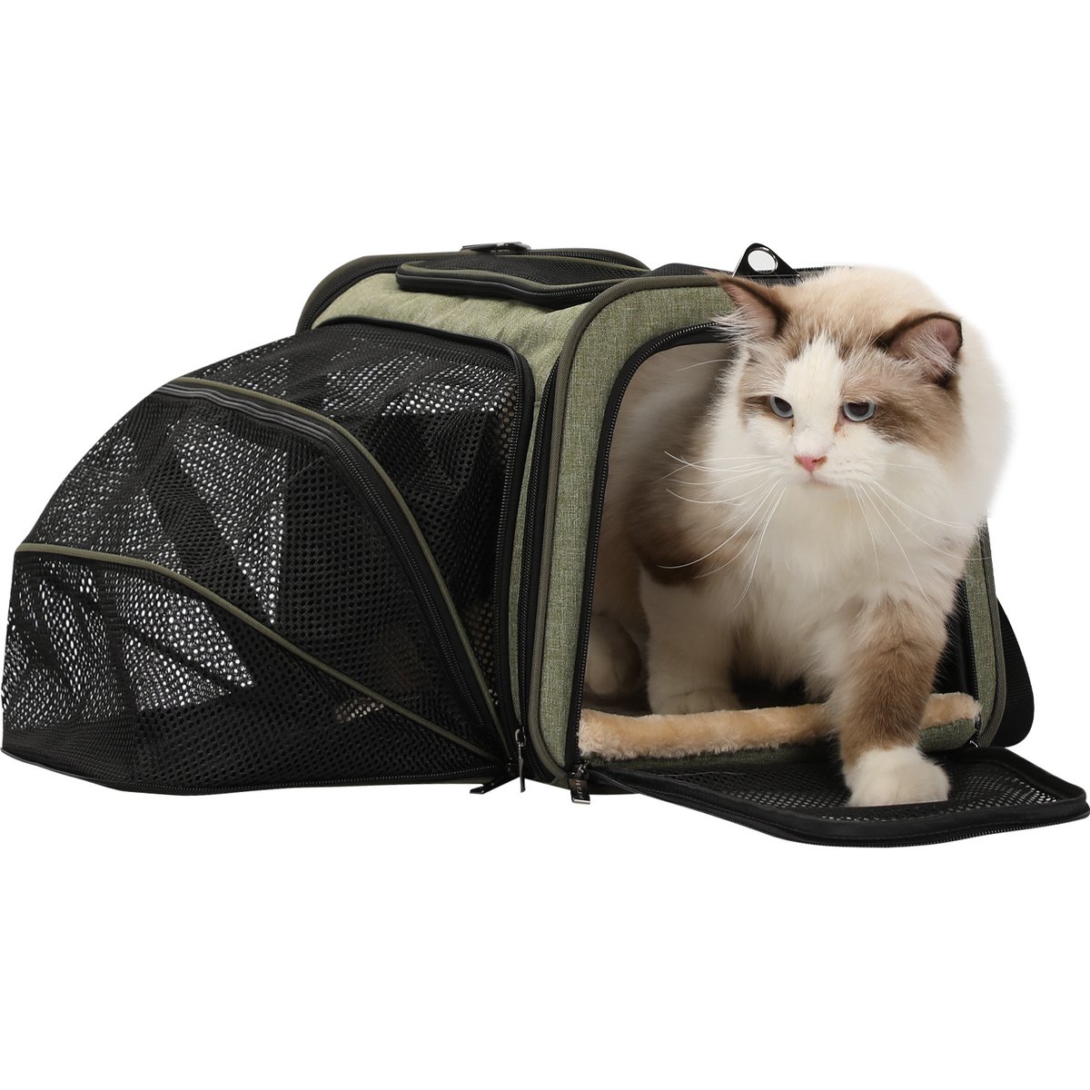 Petsfit Expandable Airline-Approved Soft-Sided Dog & Cat Carrier, Green, 17 x 11 x 11-in