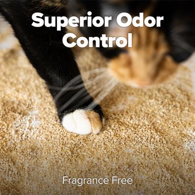 Show full view: All Walks Plant Based Super-Clumping Hemp Cat Litter, 10-lb bag slide 3 of 6