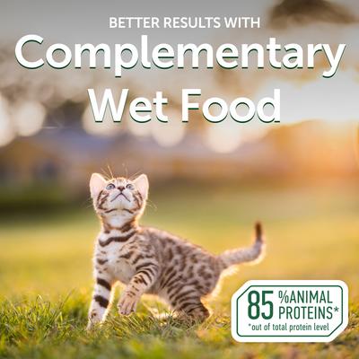 Show full view: Nature's Protection Superior Care Tuna & Sea Bass Kitten Shredded Wet Cat Food Topper, 2.46-oz pouch, case of 24 slide 10 of 10