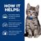 Show in main carousel: Hill's Prescription Diet i/d Digestive Care with Chicken Minced Wet Kitten Food, 5.5-oz, can, case of 24 slide 6 of 10