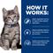 Show in main carousel: Hill's Prescription Diet i/d Digestive Care Chicken Flavor Dry Kitten Food, 4-lb bag slide 7 of 11