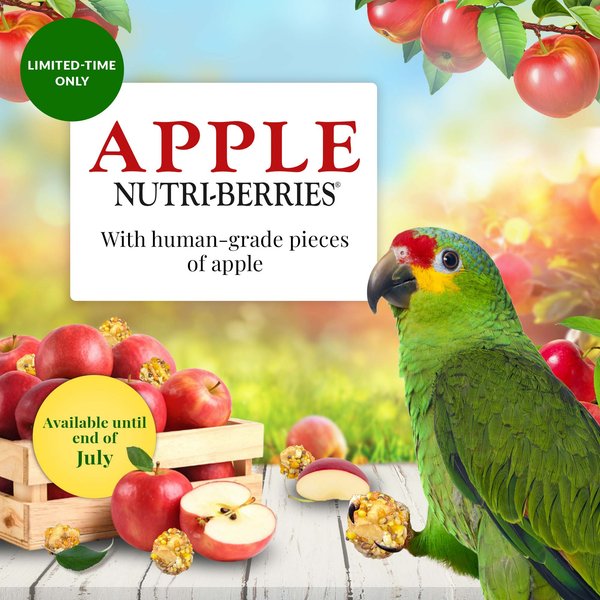 Lafeber Apple Nutri-Berries Parrot & Macaw Food, 10-oz bag