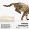 Show in main carousel: Pidan Cassava & Tofu Cat Litter, 5.29-lb bag, 4 count slide 6 of 9